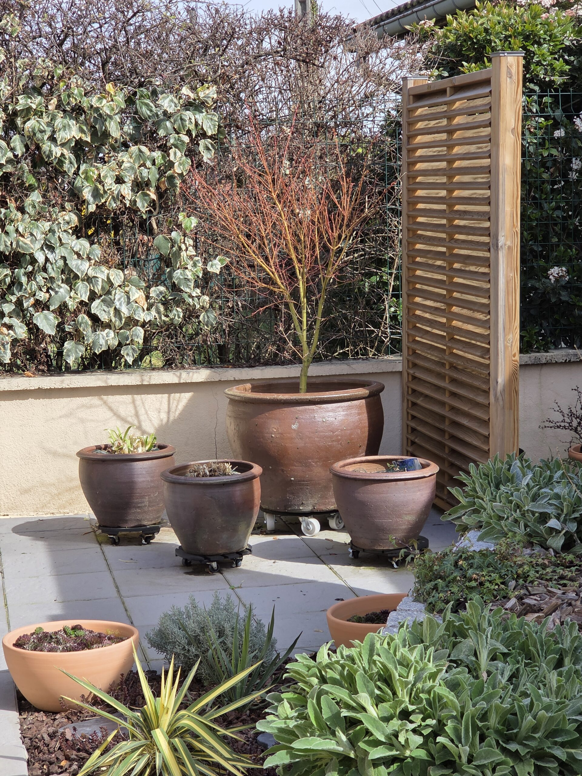 Aménagement d’une cour-jardin à Thoiry